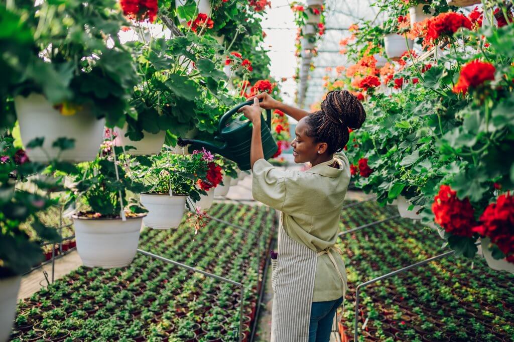 African woman working in a greenhouse plant nursery