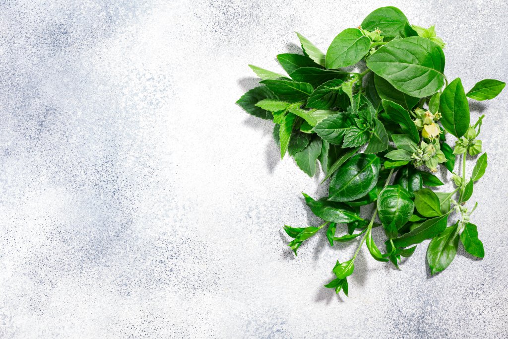 Ayurvedic herbs atop grey background, top view, copy space. Henna, ashwagandha, rama tulsi plants