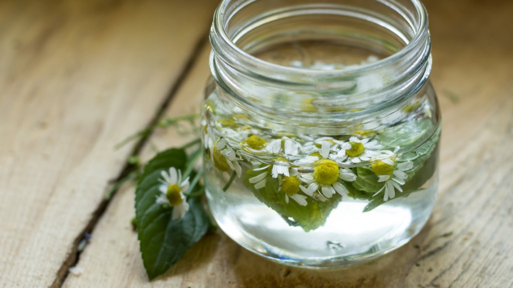 herbal remedies: Chamomile flowers and mint steeping in hot water natural herbal remedy alternative medicine