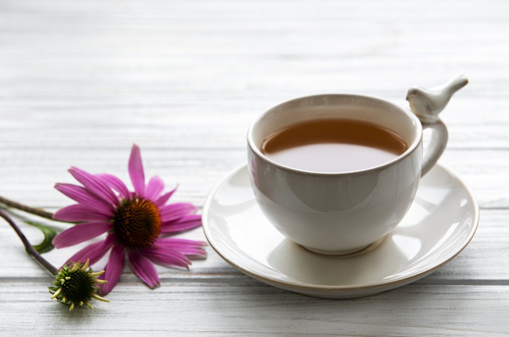 Holistic Herbal Remedies-Echinacea tea with fresh flowers.