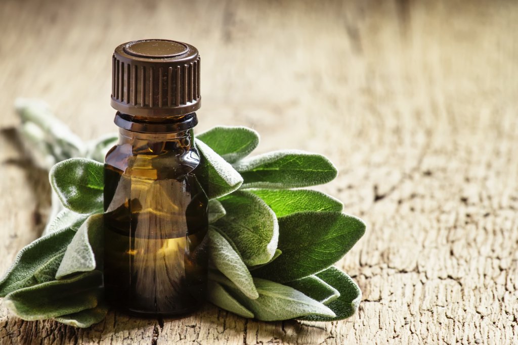 Essential sage oil, for aromatherapy