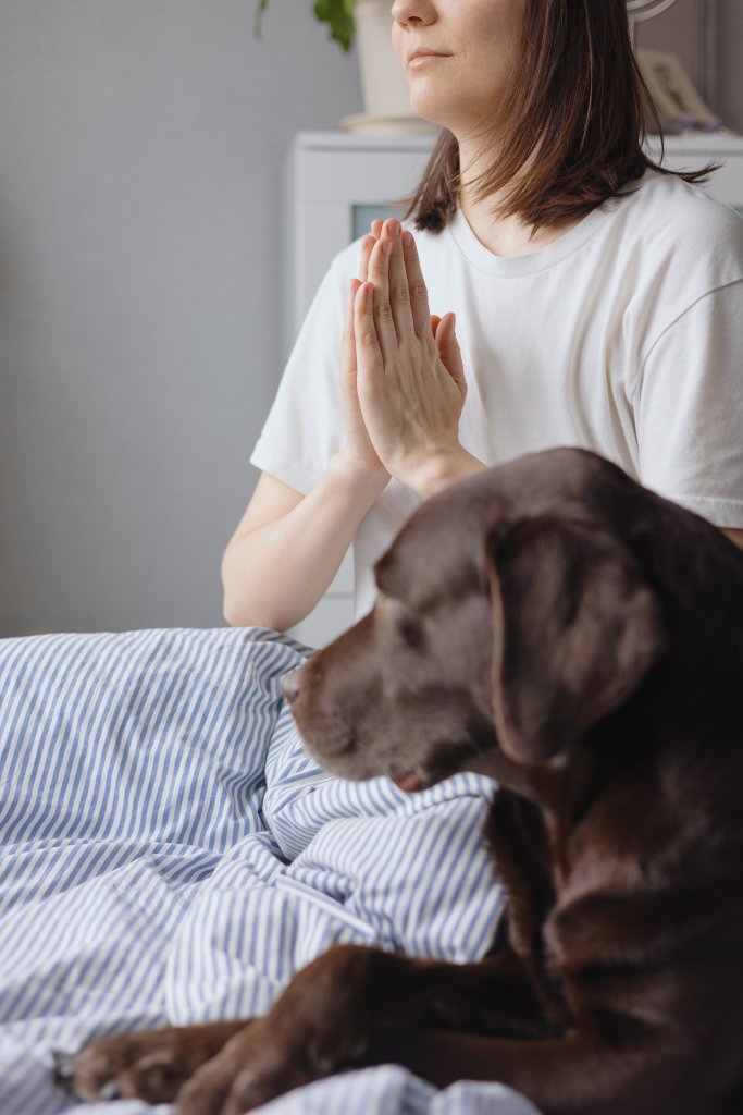 Cognitive Behavioral Therapy-psychotherapy and mental moral support. cognitive behavioral therapy, appointment