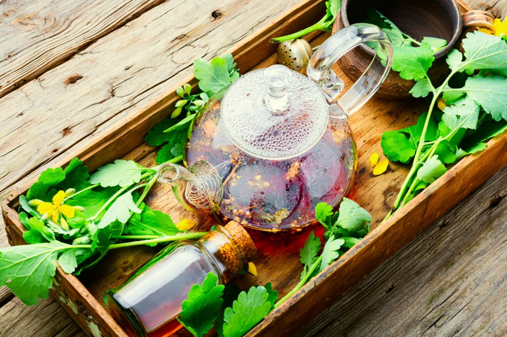 tincture of celandine,herbal medicine.