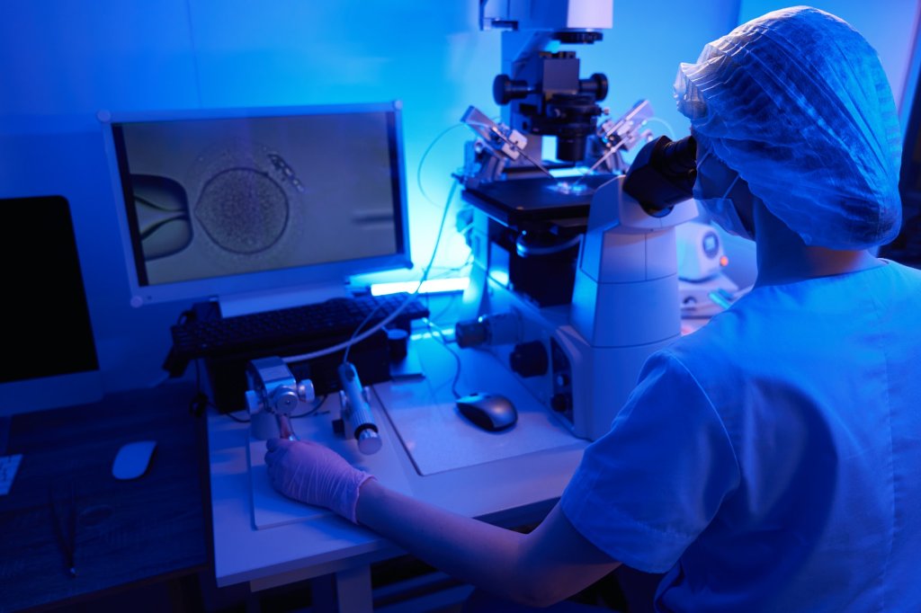 Ovulation Disorders-Experienced reproductive scientist doing intracytoplasmic sperm injection