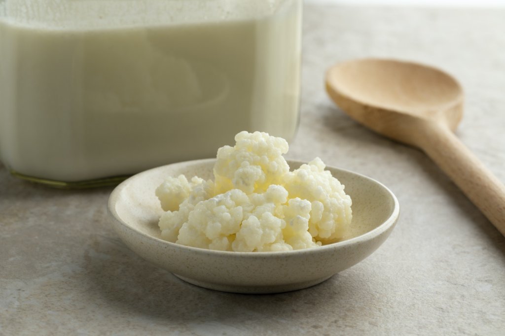 Powerful Foods-Organic probiotic milk kefir grains