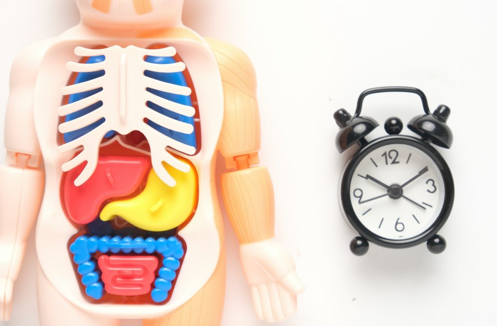 hormonal balance-Regular check up