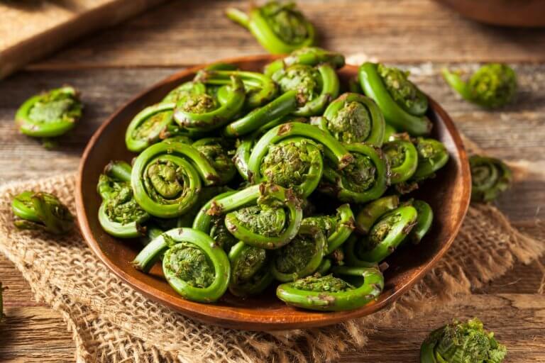 Raw Organic Green Fiddlehead Ferns