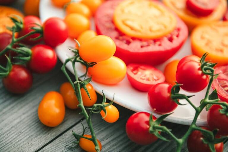 Plant-Based Fiber Meals
